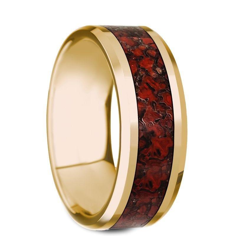 PYRA Beveled Polished 14K Yellow Gold Red Dinosaur Bone - 8mm - Thorsten Rings