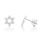 0.16CT 14K W/G DIAMOND STAR OF DAVID STUD EARRING